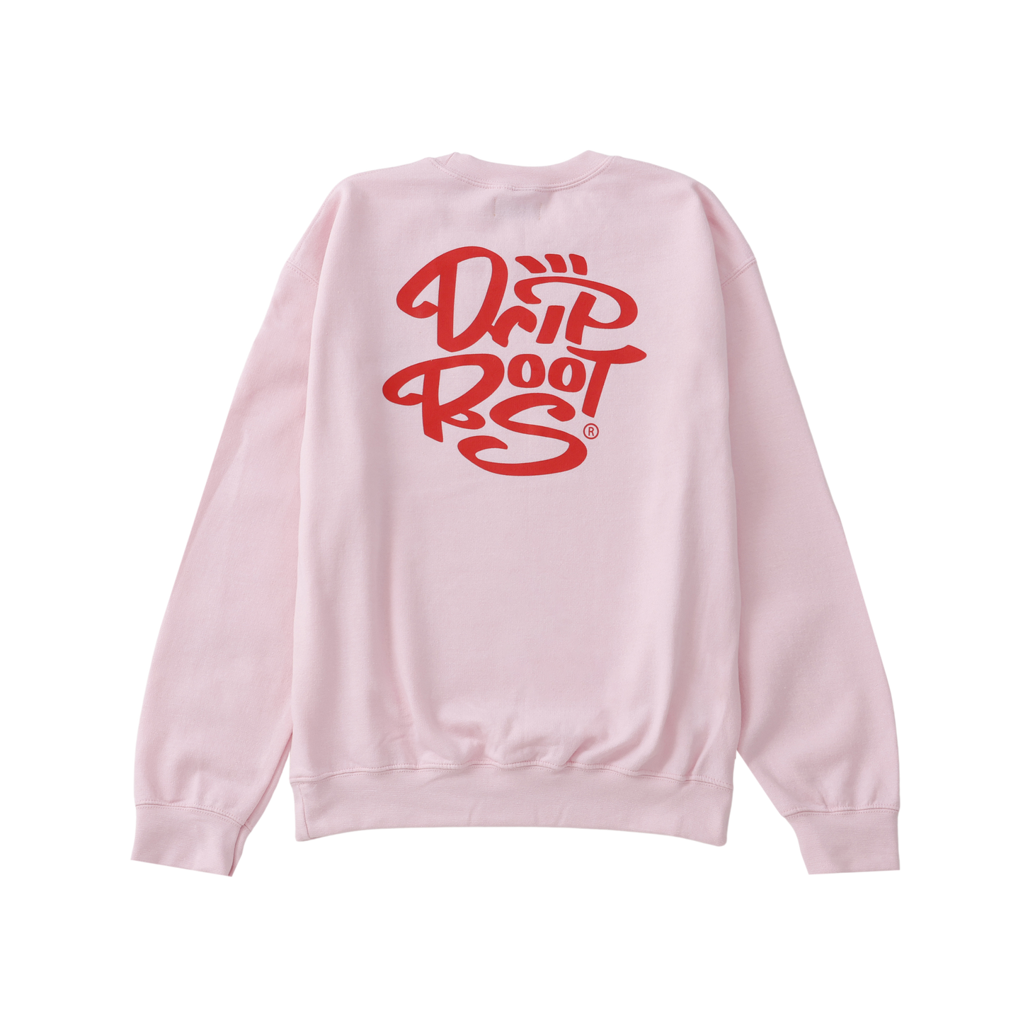 🆕DR Original logo sweat