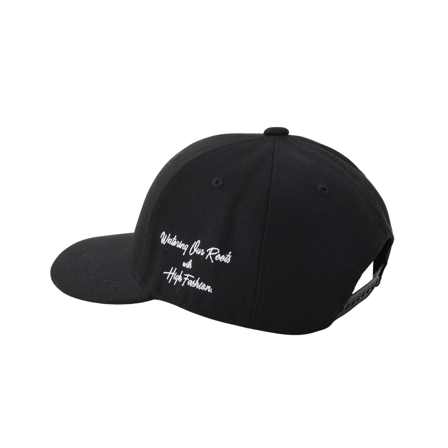 DRIPROOTS TEAM CAP(curve visor)